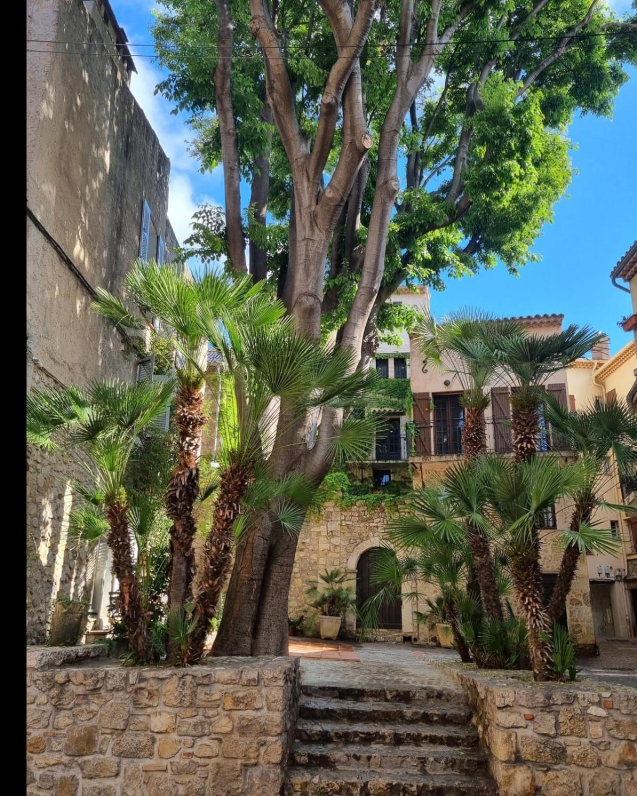 06An - Beautiful Apartment In The Heart Of Old Antibes Esterno foto
